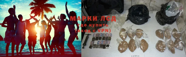 ГАЛЛЮЦИНОГЕННЫЕ ГРИБЫ Беломорск