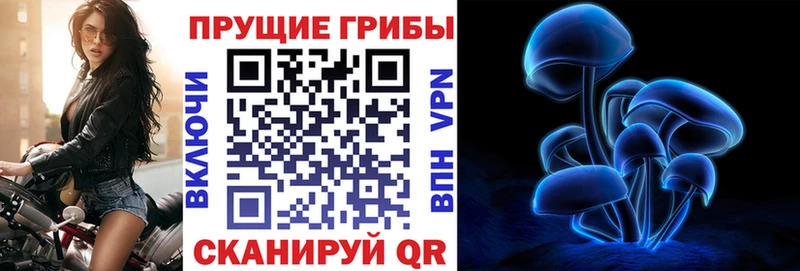 Купить где  Макаров  Галлюциногенные грибы GOLDEN TEACHER 